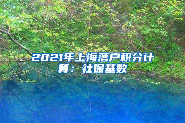 2021年上海落户积分计算：社保基数