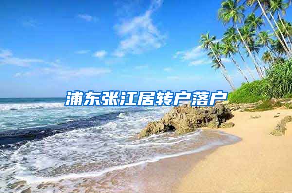 浦东张江居转户落户