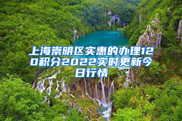 上海崇明区实惠的办理120积分2022实时更新今日行情