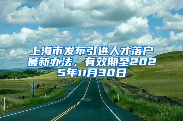 上海市发布引进人才落户最新办法，有效期至2025年11月30日