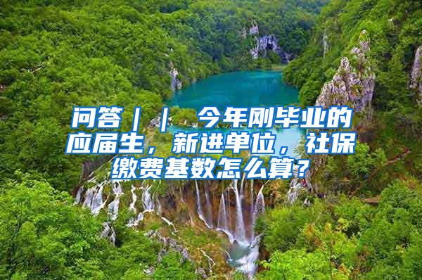 问答｜｜ 今年刚毕业的应届生，新进单位，社保缴费基数怎么算？