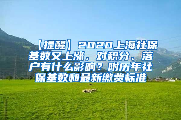 【提醒】2020上海社保基数又上涨，对积分、落户有什么影响？附历年社保基数和最新缴费标准