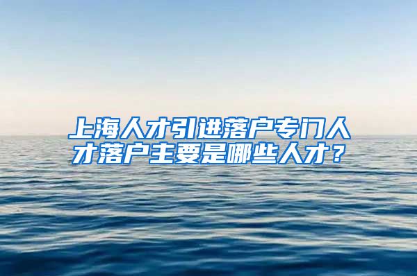 上海人才引进落户专门人才落户主要是哪些人才？