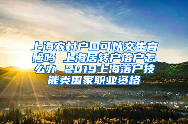 上海农村户口可以交生育险吗 上海居转户落户怎么办 2019上海落户技能类国家职业资格