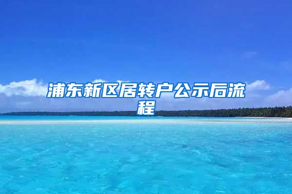 浦东新区居转户公示后流程