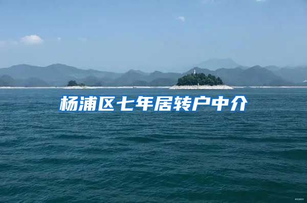 杨浦区七年居转户中介