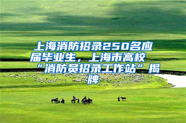 上海消防招录250名应届毕业生，上海市高校“消防员招录工作站”揭牌