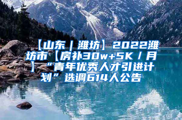 【山东｜潍坊】2022潍坊市【房补30w+5K／月】“青年优秀人才引进计划”选调614人公告