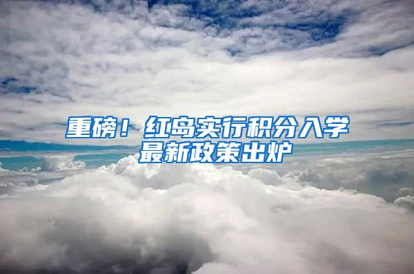 重磅！红岛实行积分入学 最新政策出炉