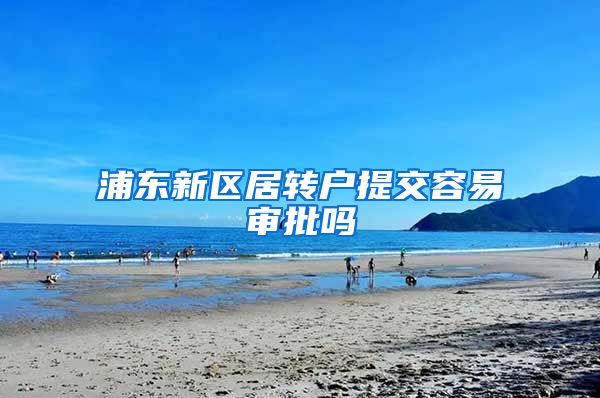 浦东新区居转户提交容易审批吗