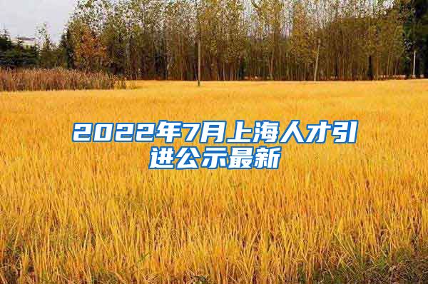 2022年7月上海人才引进公示最新