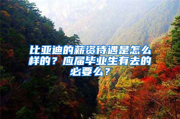 比亚迪的薪资待遇是怎么样的？应届毕业生有去的必要么？