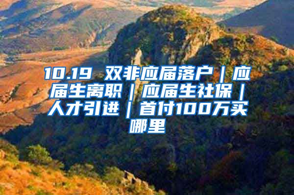 10.19 双非应届落户｜应届生离职｜应届生社保｜人才引进｜首付100万买哪里