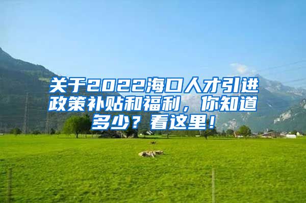 关于2022海口人才引进政策补贴和福利，你知道多少？看这里！