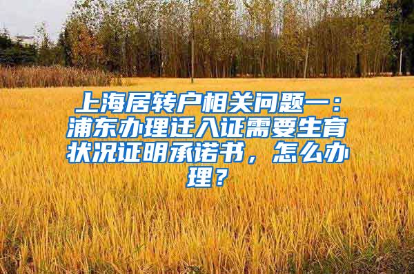 上海居转户相关问题一：浦东办理迁入证需要生育状况证明承诺书，怎么办理？