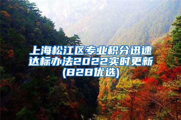 上海松江区专业积分迅速达标办法2022实时更新(B2B优选)