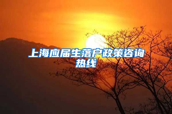 上海应届生落户政策咨询热线