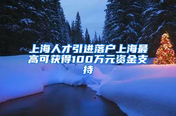 上海人才引进落户上海最高可获得100万元资金支持