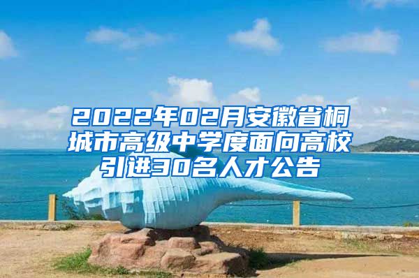 2022年02月安徽省桐城市高级中学度面向高校引进30名人才公告