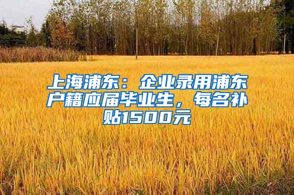 上海浦东：企业录用浦东户籍应届毕业生，每名补贴1500元