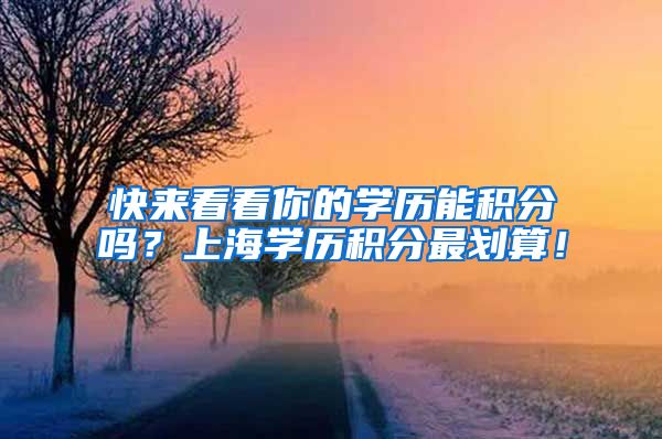 快来看看你的学历能积分吗？上海学历积分最划算！