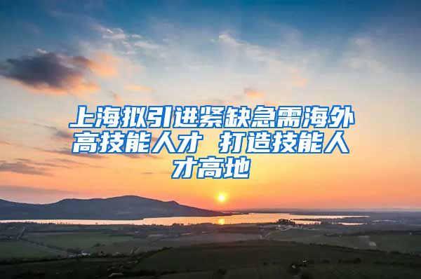 上海拟引进紧缺急需海外高技能人才 打造技能人才高地