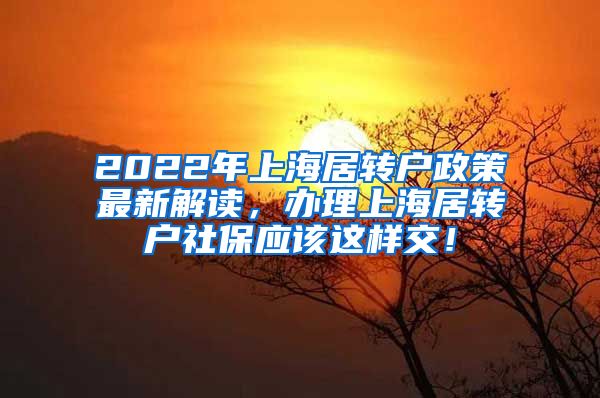 2022年上海居转户政策最新解读，办理上海居转户社保应该这样交！