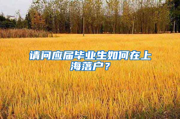 请问应届毕业生如何在上海落户？