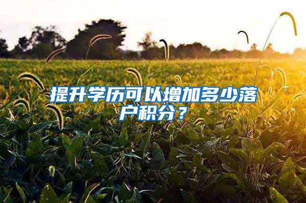 提升学历可以增加多少落户积分？