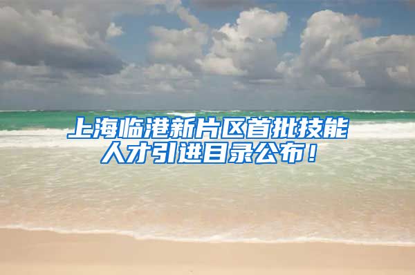 上海临港新片区首批技能人才引进目录公布！