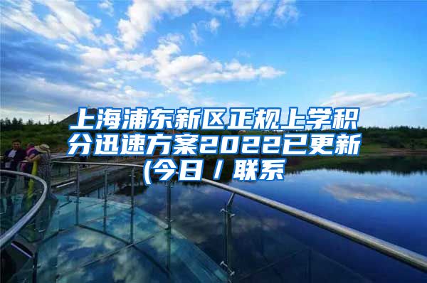 上海浦东新区正规上学积分迅速方案2022已更新(今日／联系