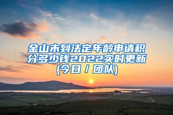 金山未到法定年龄申请积分多少钱2022实时更新(今日／团队)