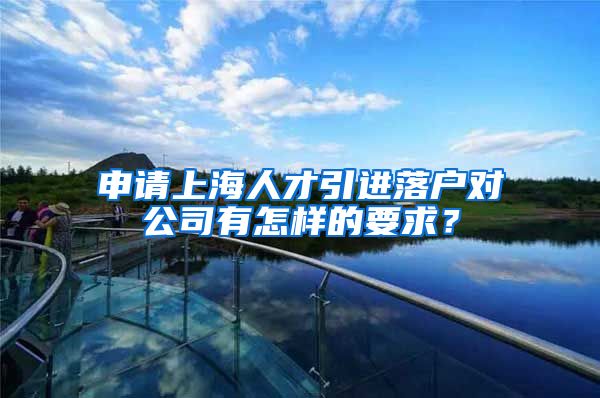 申请上海人才引进落户对公司有怎样的要求？