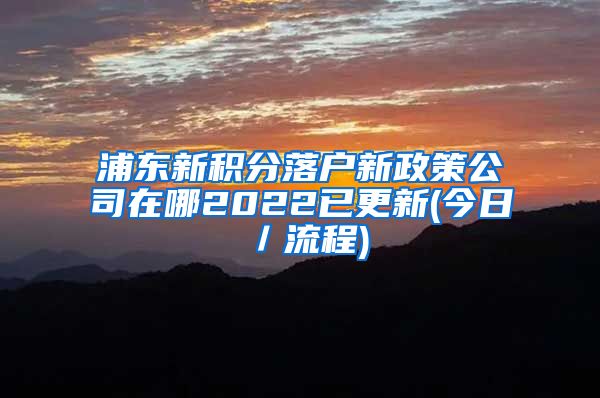 浦东新积分落户新政策公司在哪2022已更新(今日／流程)