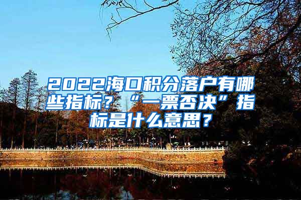 2022海口积分落户有哪些指标？“一票否决”指标是什么意思？