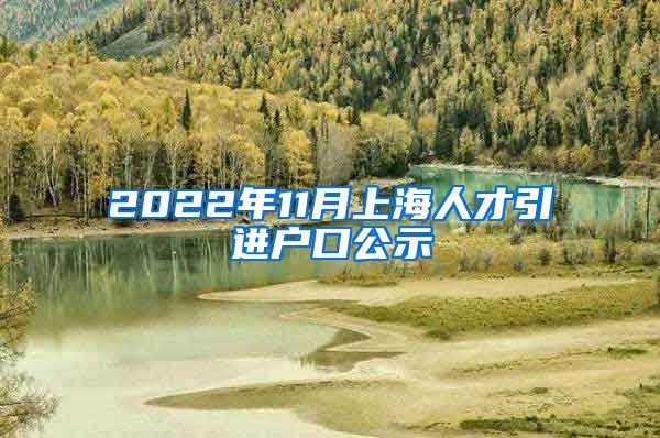 2022年11月上海人才引进户口公示