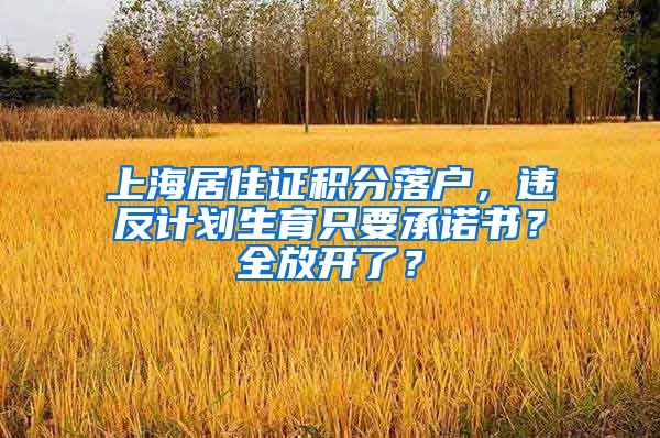 上海居住证积分落户，违反计划生育只要承诺书？全放开了？