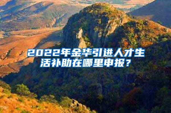 2022年金华引进人才生活补助在哪里申报？