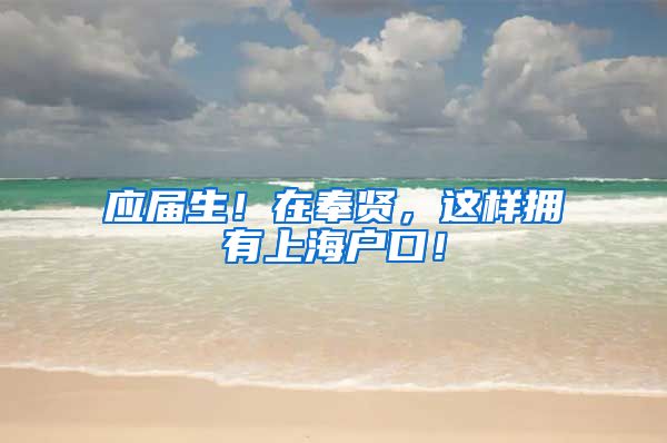 应届生！在奉贤，这样拥有上海户口！