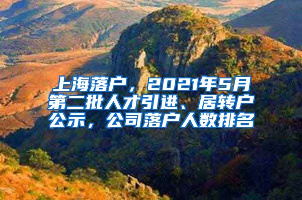 上海落户，2021年5月第二批人才引进、居转户公示，公司落户人数排名