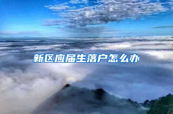 新区应届生落户怎么办