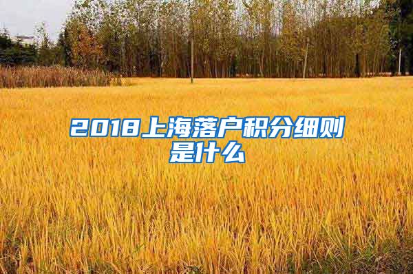 2018上海落户积分细则是什么