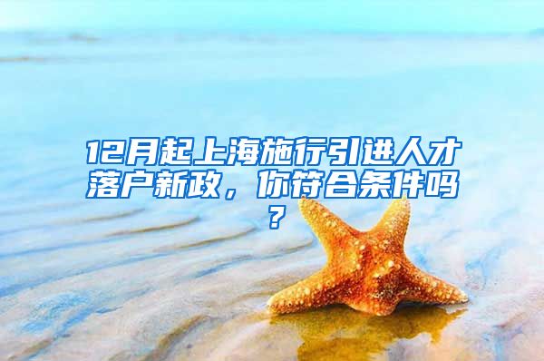 12月起上海施行引进人才落户新政，你符合条件吗？
