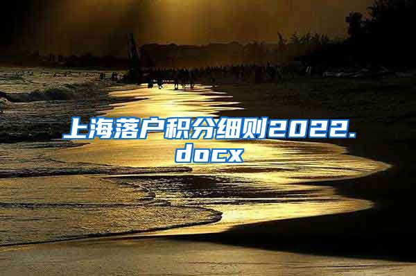 上海落户积分细则2022.docx