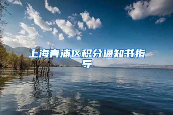 上海青浦区积分通知书指导