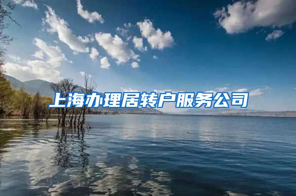 上海办理居转户服务公司