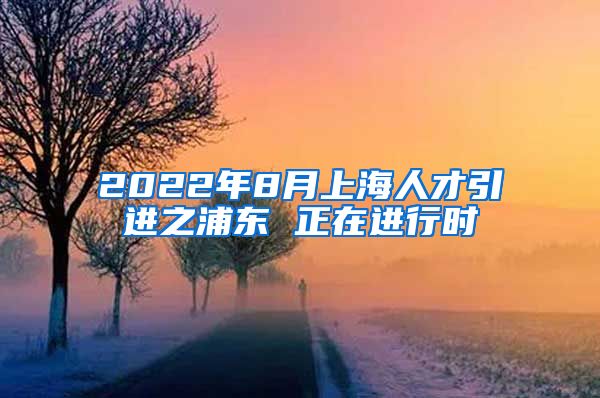 2022年8月上海人才引进之浦东 正在进行时