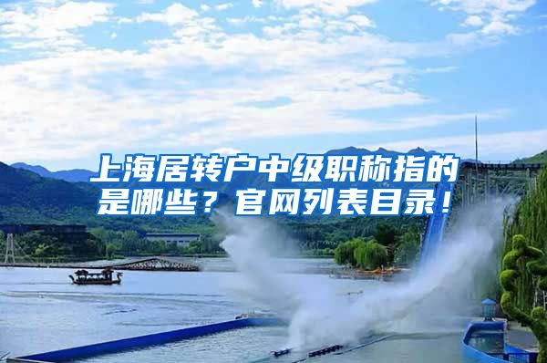 上海居转户中级职称指的是哪些？官网列表目录！