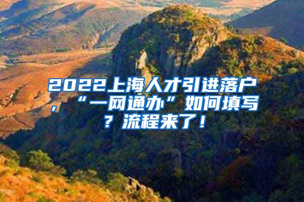 2022上海人才引进落户，“一网通办”如何填写？流程来了！