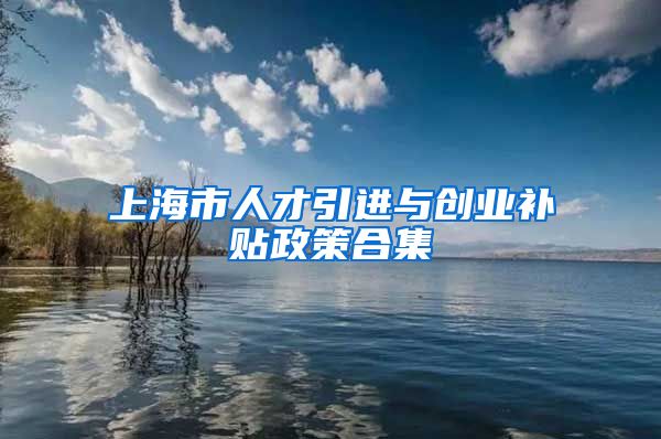 上海市人才引进与创业补贴政策合集